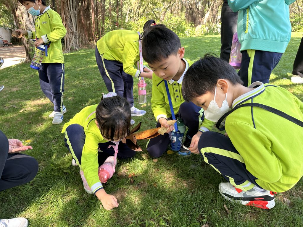 樹木小醫生